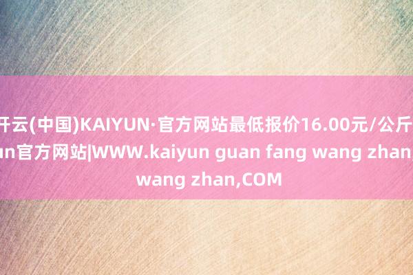 开云(中国)KAIYUN·官方网站最低报价16.00元/公斤-kaiyun官方网站|WWW.kaiyun guan fang wang zhan,COM