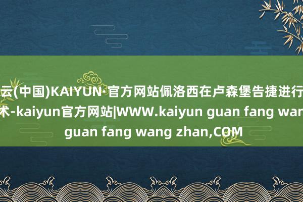 开云(中国)KAIYUN·官方网站佩洛西在卢森堡告捷进行了髋要津置换手术-kaiyun官方网站|WWW.kaiyun guan fang wang zhan,COM