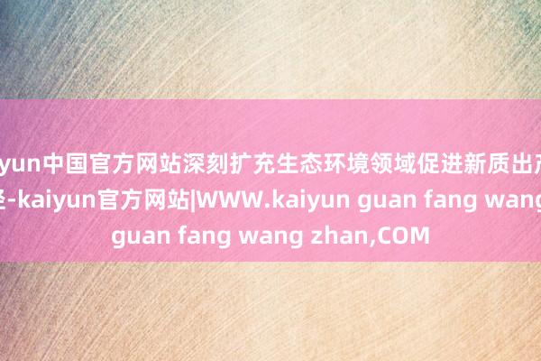 kaiyun中国官方网站深刻扩充生态环境领域促进新质出产力系列战略门径-kaiyun官方网站|WWW.kaiyun guan fang wang zhan,COM