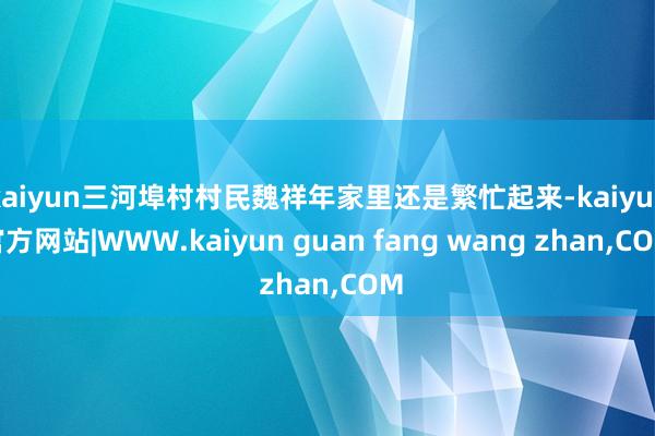 kaiyun三河埠村村民魏祥年家里还是繁忙起来-kaiyun官方网站|WWW.kaiyun guan fang wang zhan,COM