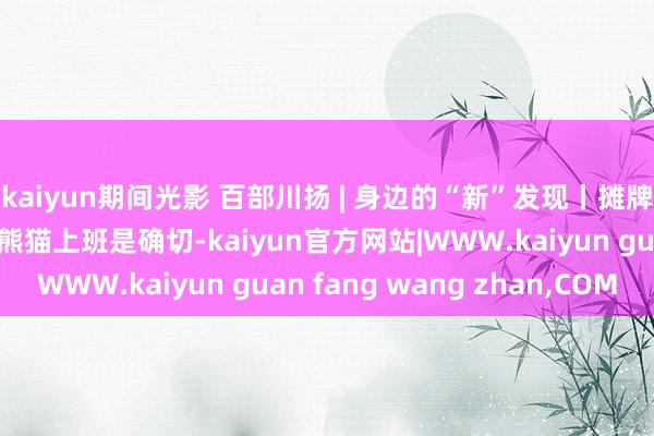 kaiyun期间光影 百部川扬 | 身边的“新”发现丨摊牌了 四川东谈主“骑”熊猫上班是确切-kaiyun官方网站|WWW.kaiyun guan fang wang zhan,COM