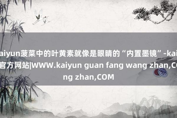 kaiyun菠菜中的叶黄素就像是眼睛的“内置墨镜”-kaiyun官方网站|WWW.kaiyun guan fang wang zhan,COM