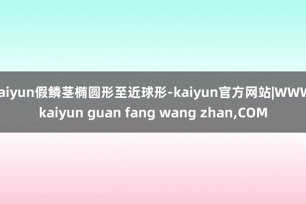 kaiyun假鳞茎椭圆形至近球形-kaiyun官方网站|WWW.kaiyun guan fang wang zhan,COM