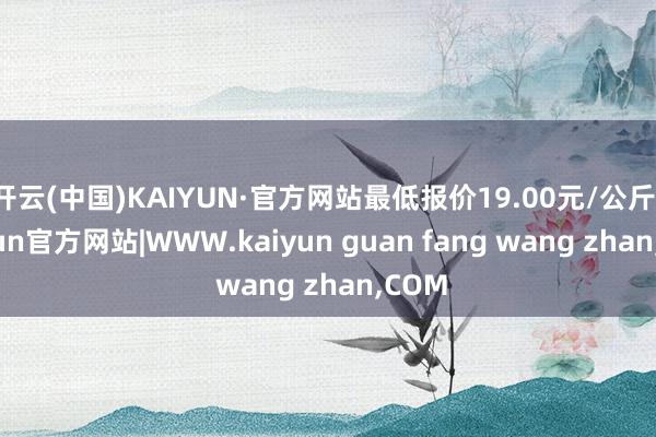开云(中国)KAIYUN·官方网站最低报价19.00元/公斤-kaiyun官方网站|WWW.kaiyun guan fang wang zhan,COM